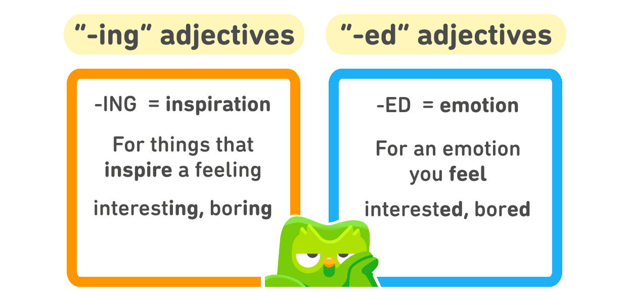 EN ing and ed adjectives in body